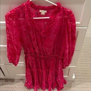 Shoshana Vibrant Pink Sheer Dress